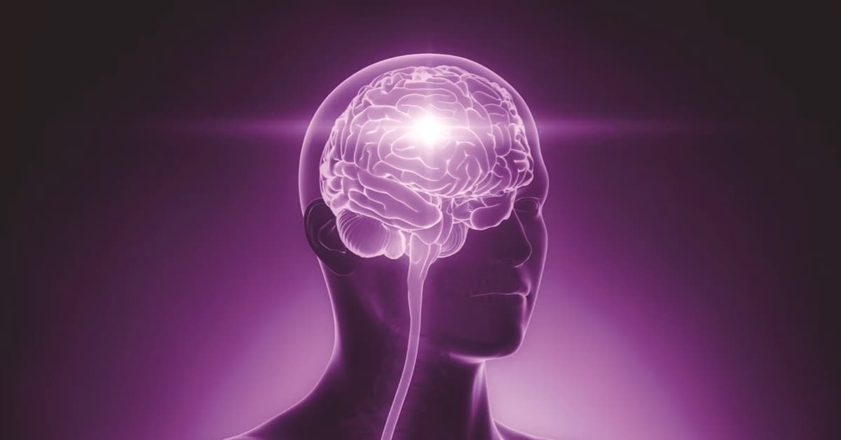 Il sistema interocettivo, l’integrazione viscero-somatica e la patologia  da infiammazione sistemica