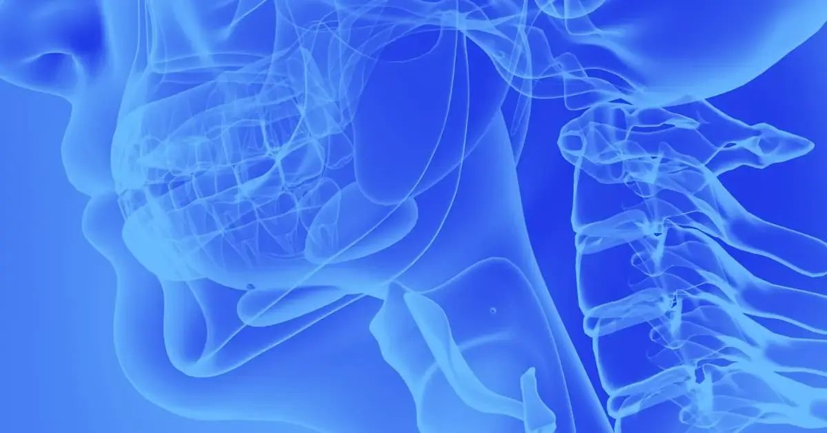 Masticazione e deglutizione