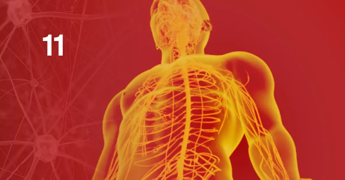 Il Sistema Nervoso - Modulo 11: Cervello emotivo e sistema neuroendocrino